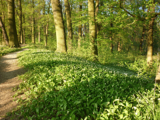1076388 (a): :2560x1920